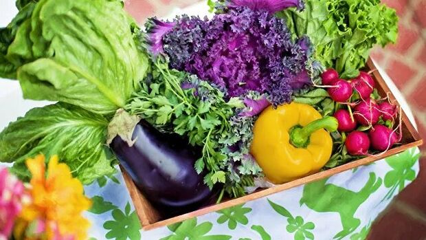 vegetais e verduras na dieta da dieta de Ducan